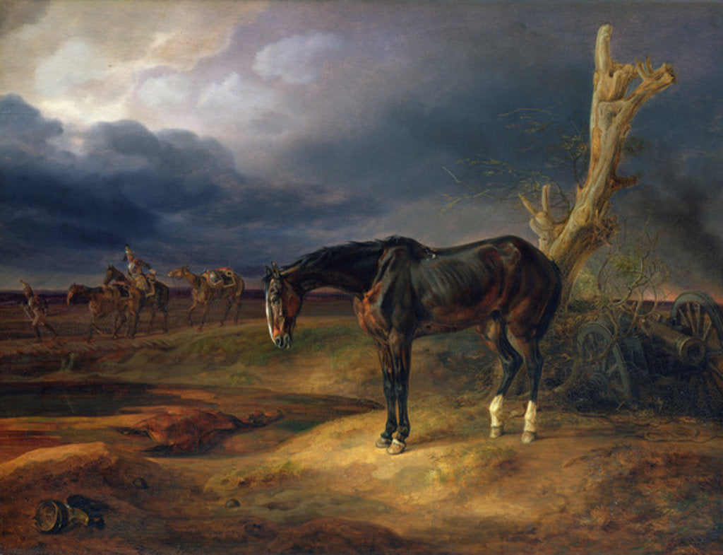 Detail of Ownerless Horse on the Battlefield at Moshaisk in 1812, 1834 by Albrecht Adam
