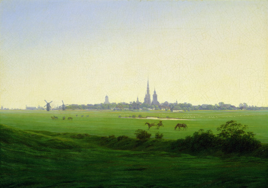Detail of Meadows near Greifswald, 1821-22 by Caspar David Friedrich