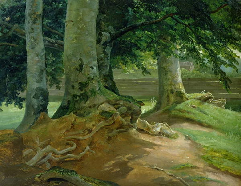 Detail of Beech Trees in Frederiksdal near Copenhagen, 1828 by Christian Ernst Bernhard Morgenstern
