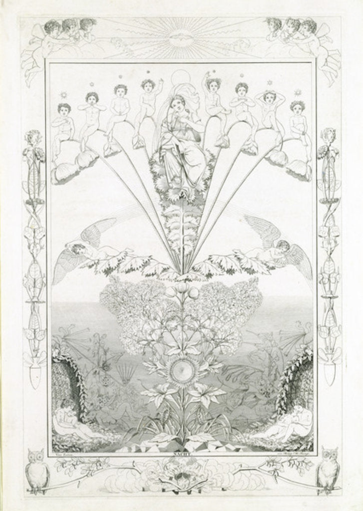 Detail of Night, 1805 by Philipp Otto Runge