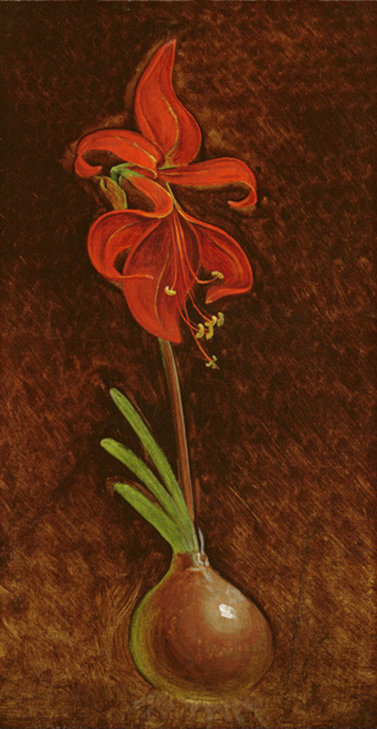 Detail of Amaryllis Formosissima, 1808 by Philipp Otto Runge