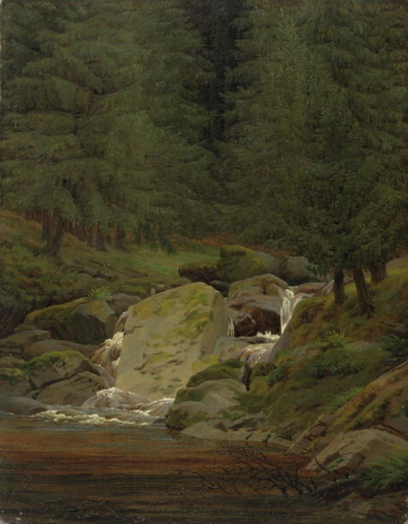 Detail of The Evergreens by the Waterfall by Caspar David Friedrich