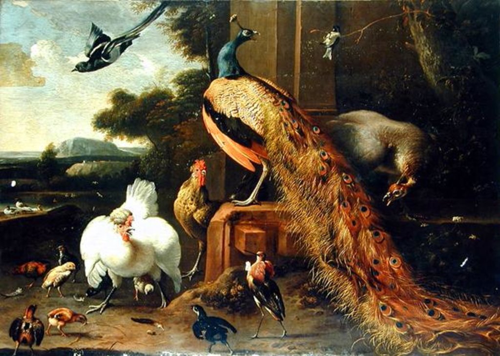 Detail of Revolt in the Poultry Coup by Melchior de Hondecoeter