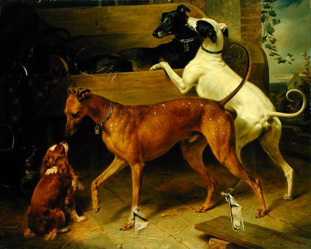 Detail of Kruger's Dogs, 1855 by Franz Kruger