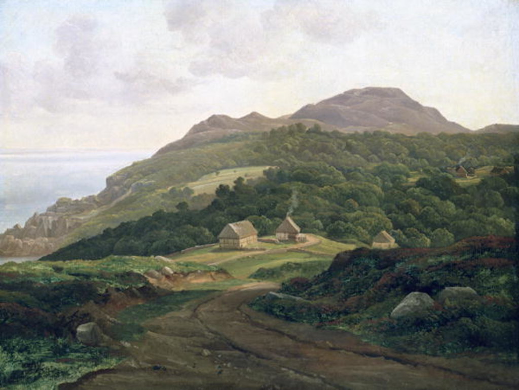 Detail of On the Swedish Coast, 1828 by Christian Ernst Bernhard Morgenstern