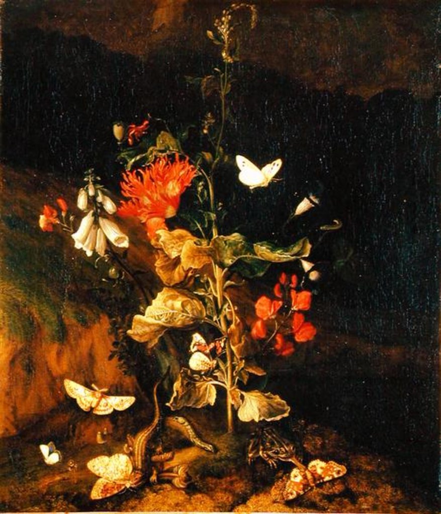 Detail of Flower Study by Otto Marseus van Schrieck