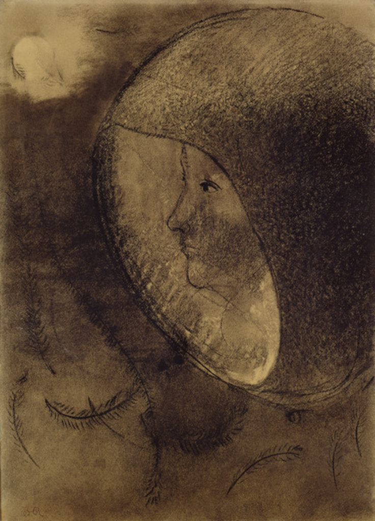 Detail of Cellular Face, 1895 by Odilon Redon