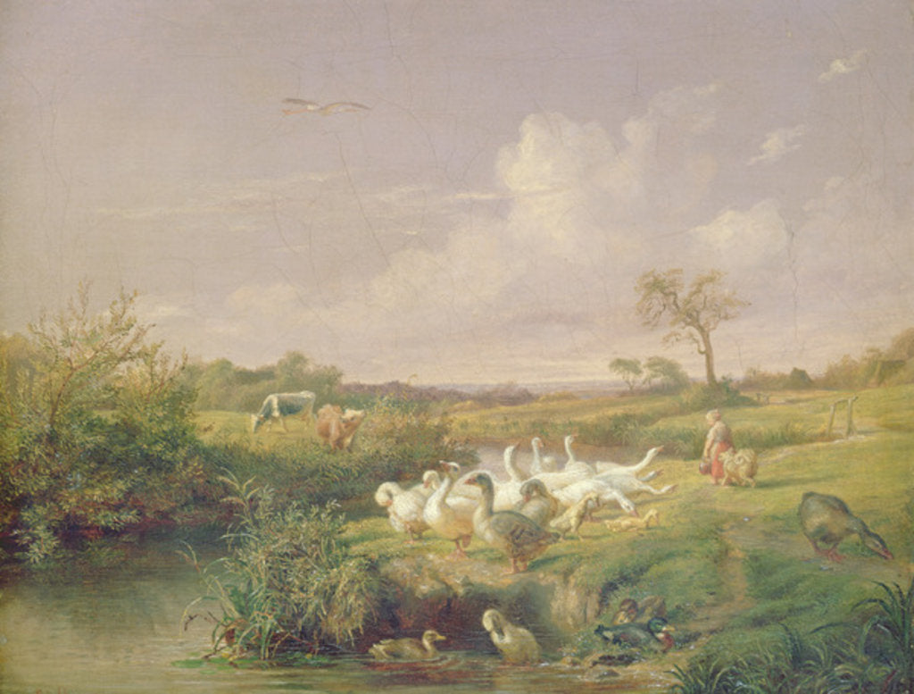 Detail of Geese Grazing, 1854 by Otto Speckter