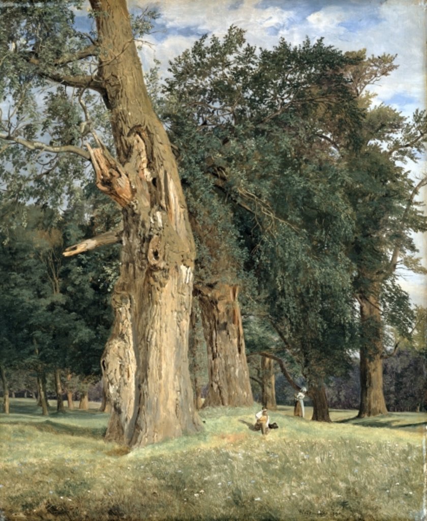 Detail of Old elms in Prater, 1831 by Ferdinand Georg Waldmuller
