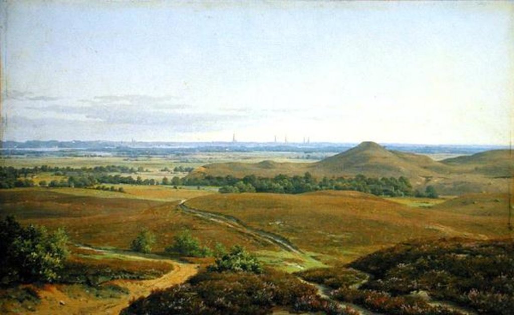 Detail of View of Hamburg by Adolf Carl