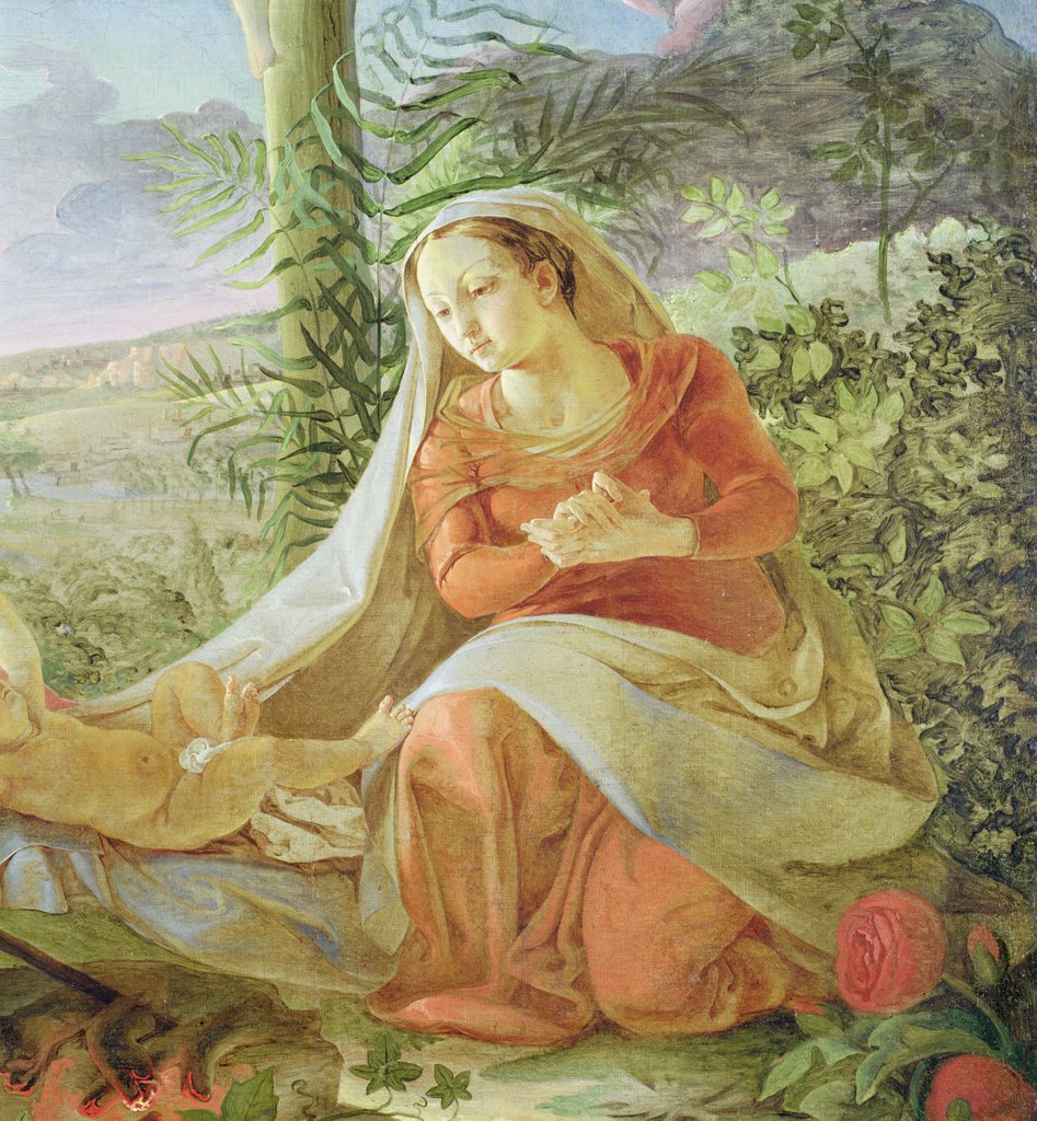Detail of The Virgin from 'Rest on the Flight to Egypt', 1805-06 by Philipp Otto Runge