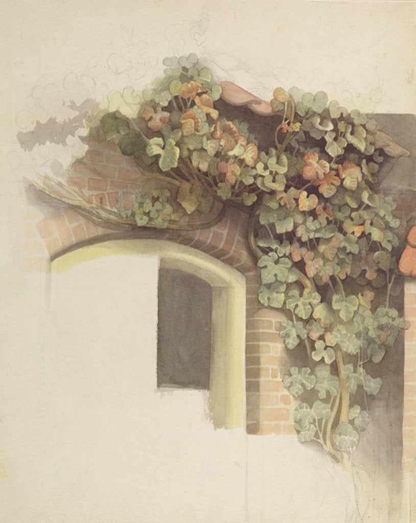 Detail of Grapevines on a Brick House, 1832 by Johann Martin Gensler