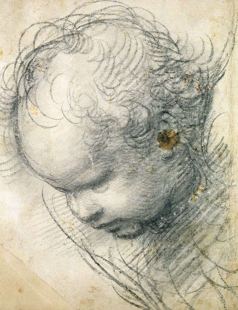 Detail of Head of a Cherub by Raphael