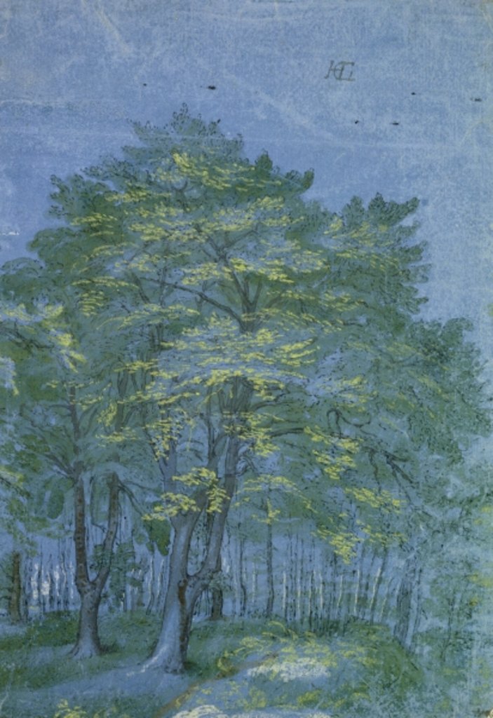 Detail of Group of Trees in a Wood, c.1600 by Hendrik Goltzius