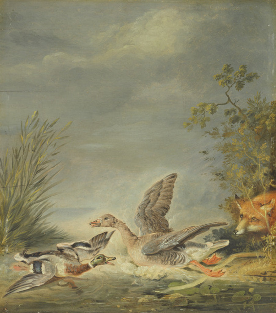 Detail of Fox and Waterfowl by Johann Friedrich August Tischbein