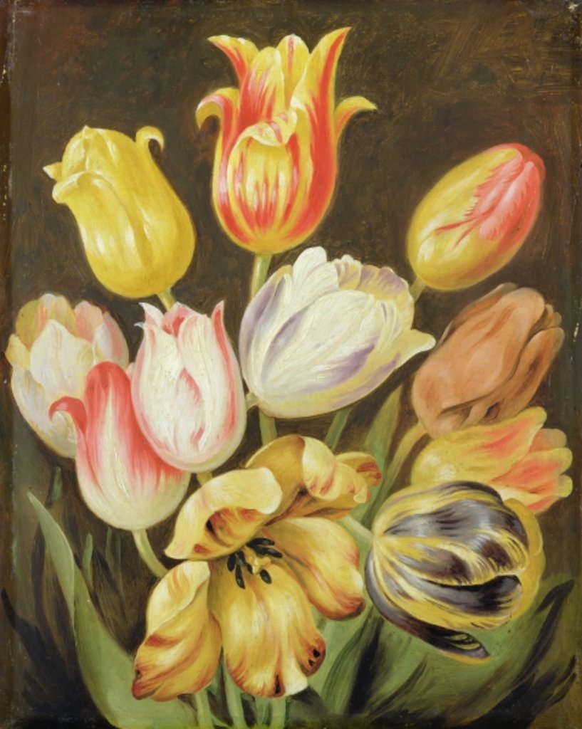 Detail of Flower Study by Johann Friedrich August Tischbein