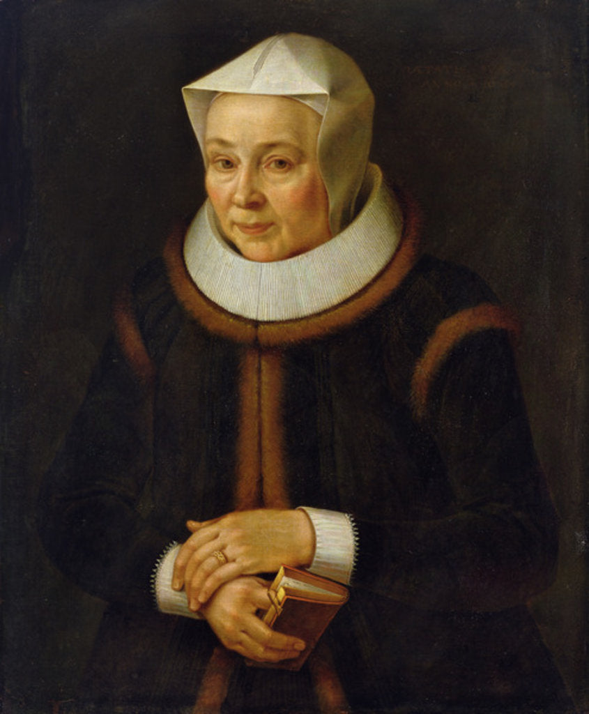 Detail of Portrait of the Artist's Mother, 1604 by David Kindt