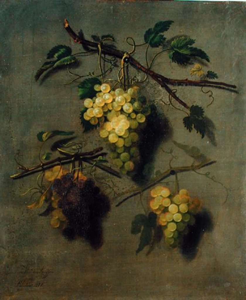 Detail of Still Life, 1738 by Dominicus Van der Smissen