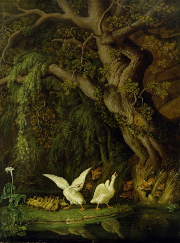 Detail of Foxes and Geese by Johann Heinrich Tischbein