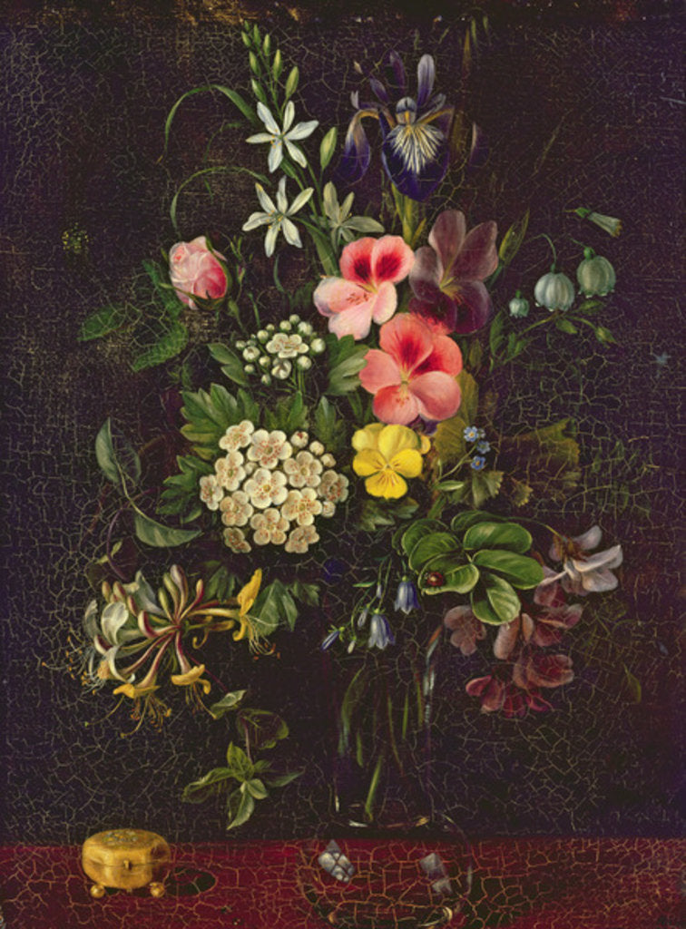 Detail of Vase of Flowers, 1775 by A. Viedebant