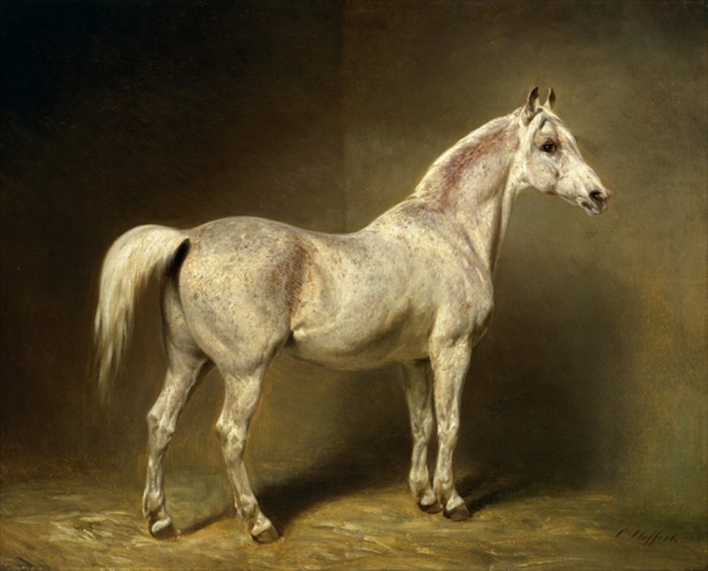 Detail of Beatrice, the white arab saddlehorse of Helmuth Graf von Moltke, 1855 by Carl Constantin Steffeck