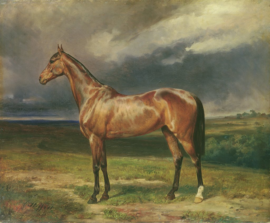 Detail of Abdul Medschid the chestnut arab horse, 1855 by Carl Constantin Steffeck