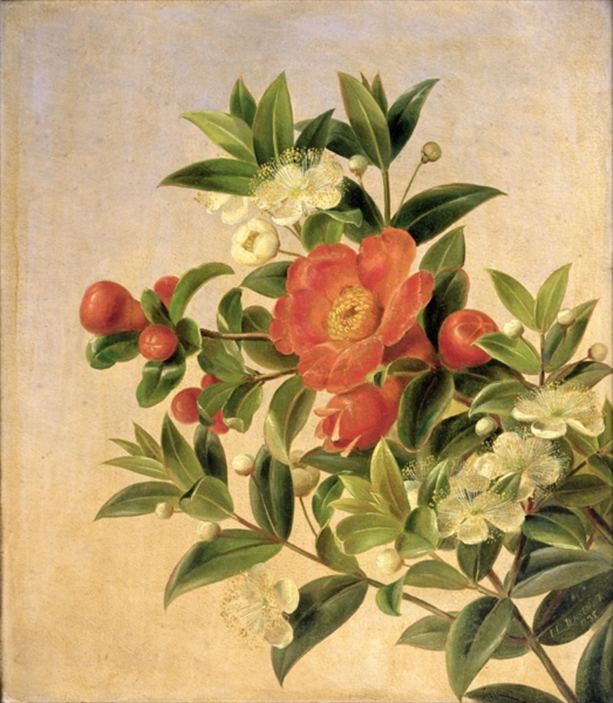 Detail of Flowers, 1835 by Johan Laurents Jensen