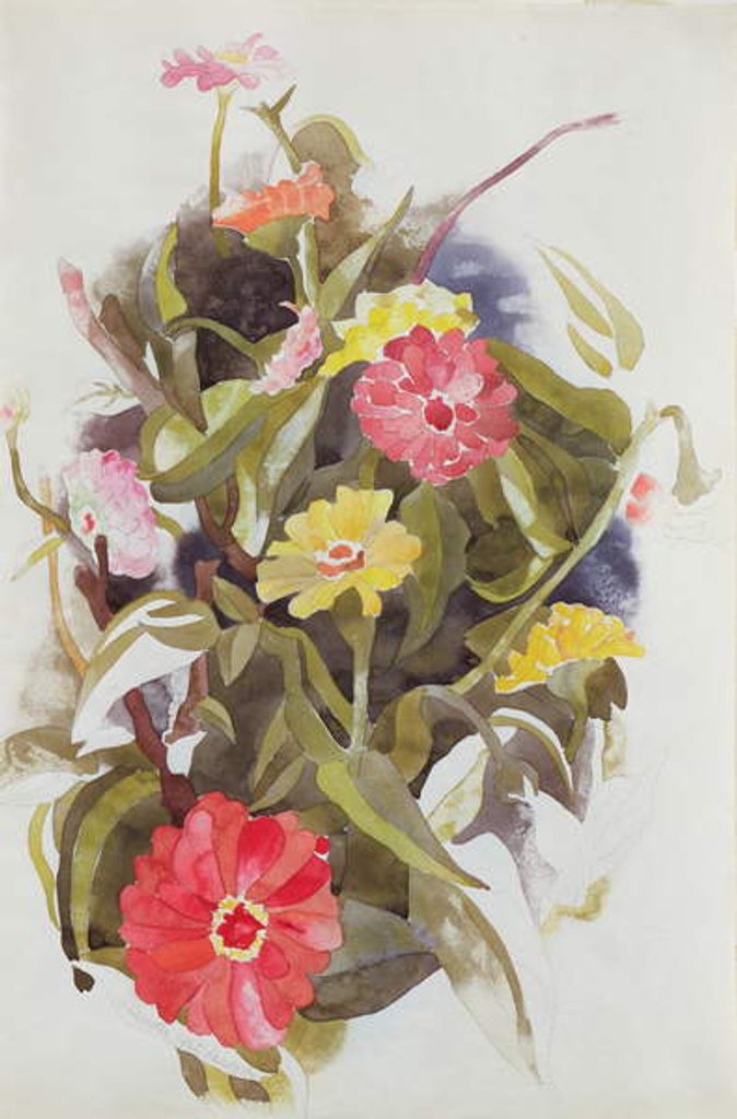 Detail of Zinnias, 1920 by Charles Demuth