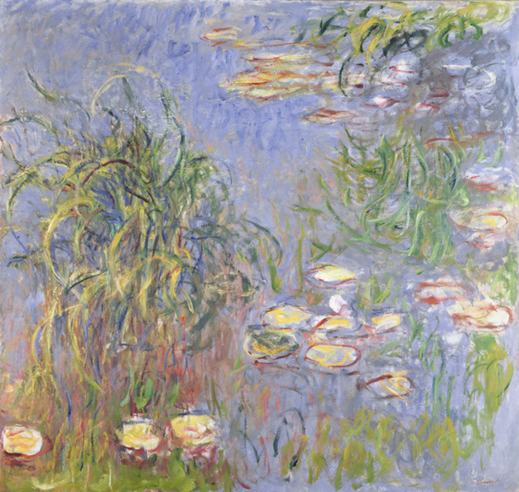 Detail of Water-Lilies, Cluster of Grass, 1914-17 by Claude Monet