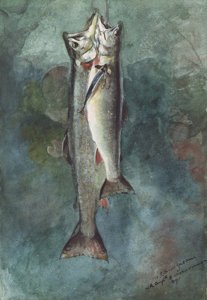 Detail of Two Trout, 1891 by Winslow Homer