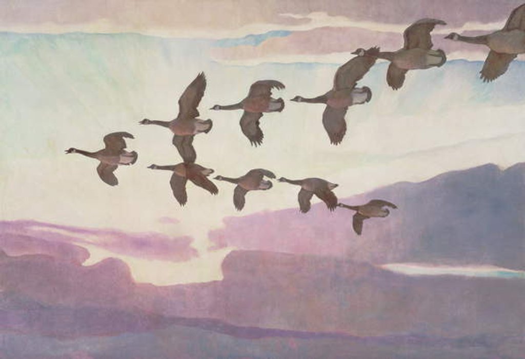 Detail of Canada Geese in Spring, 1941 by Newell Convers Wyeth