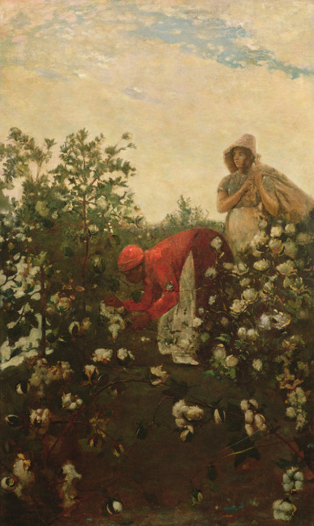 Detail of Upland Cotton, 1875 by Winslow Homer