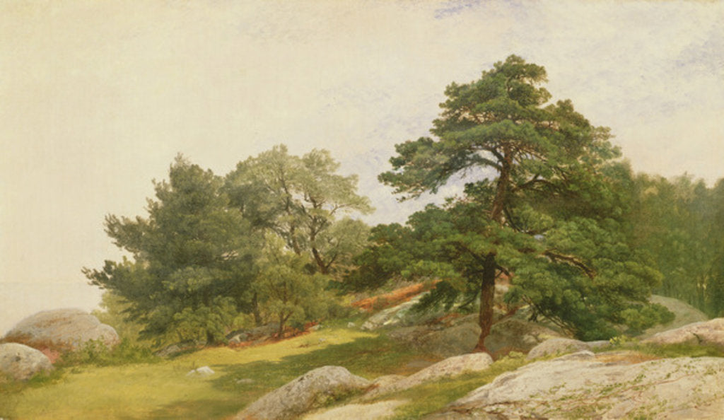 Detail of Study for Trees on Beverly Coast by John Frederick Kensett