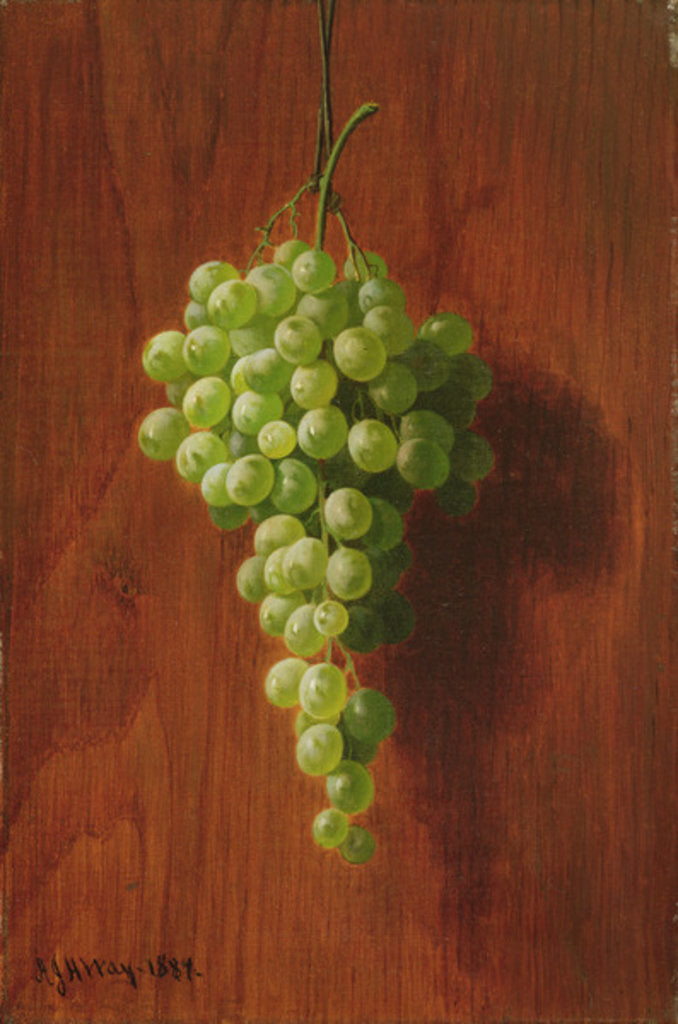 Detail of Grapes, 1884 by Andrew John Henry Way