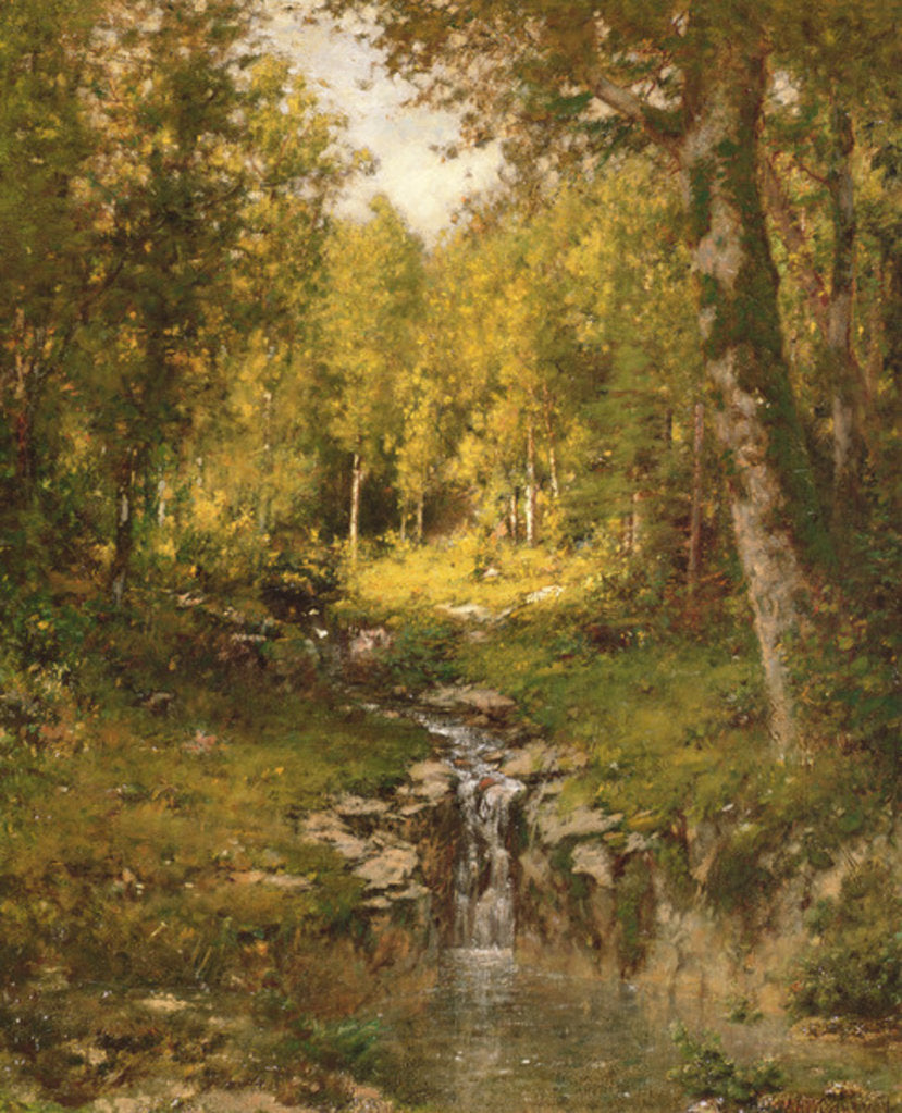 Detail of Pool in the Woods, 1880 by Alexander Helwig Wyant