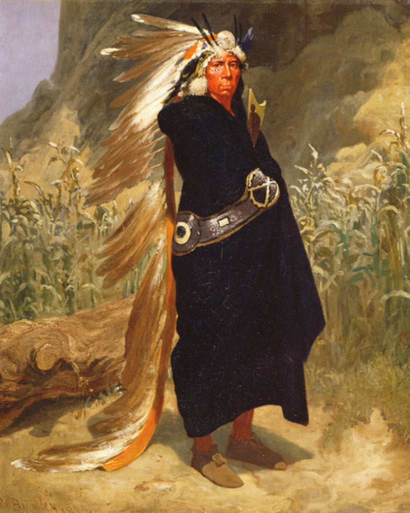 Detail of Portrait of an Indian Chief, 1875 by Valentine Walter Lewis Bromley