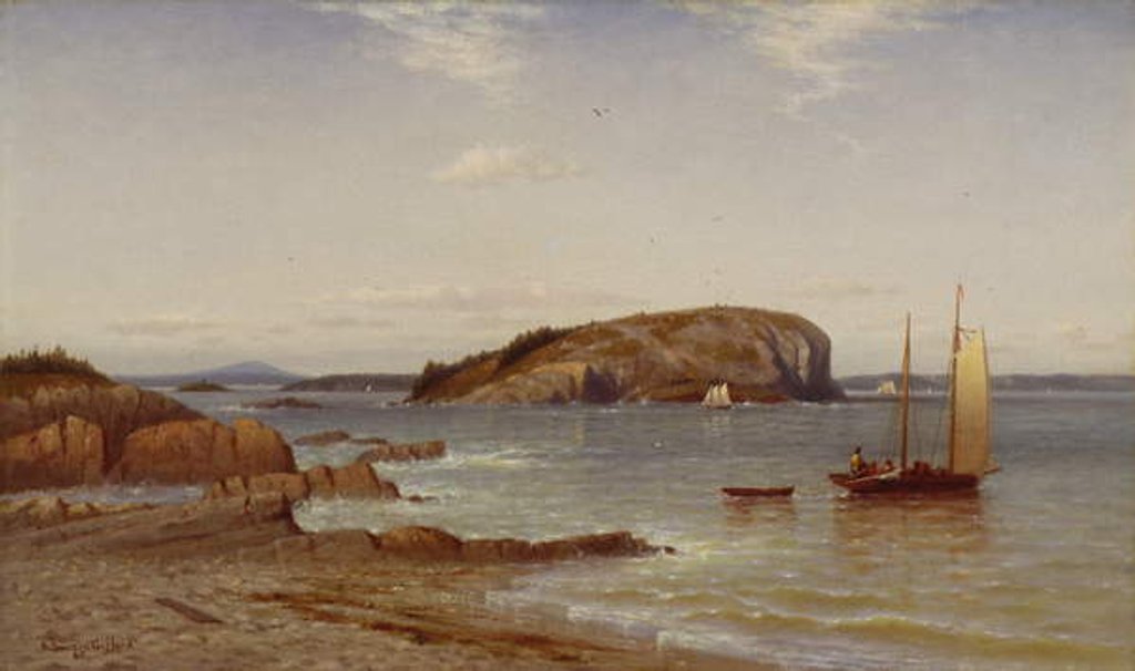 Detail of Bald Porcupine Island, 1868 by Robert Swain Gifford