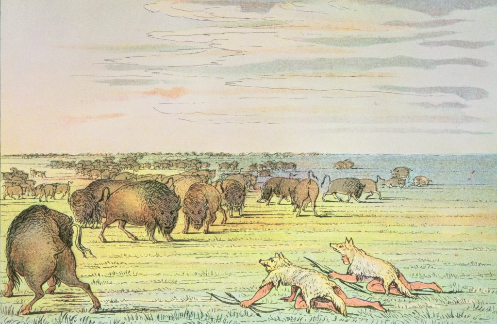 Detail of Stalking buffalo by George Catlin