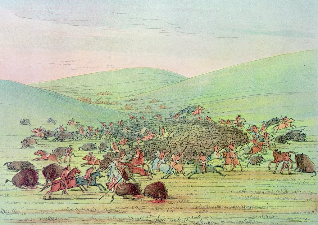 Detail of Minatarees attacking buffalo on horseback by George Catlin