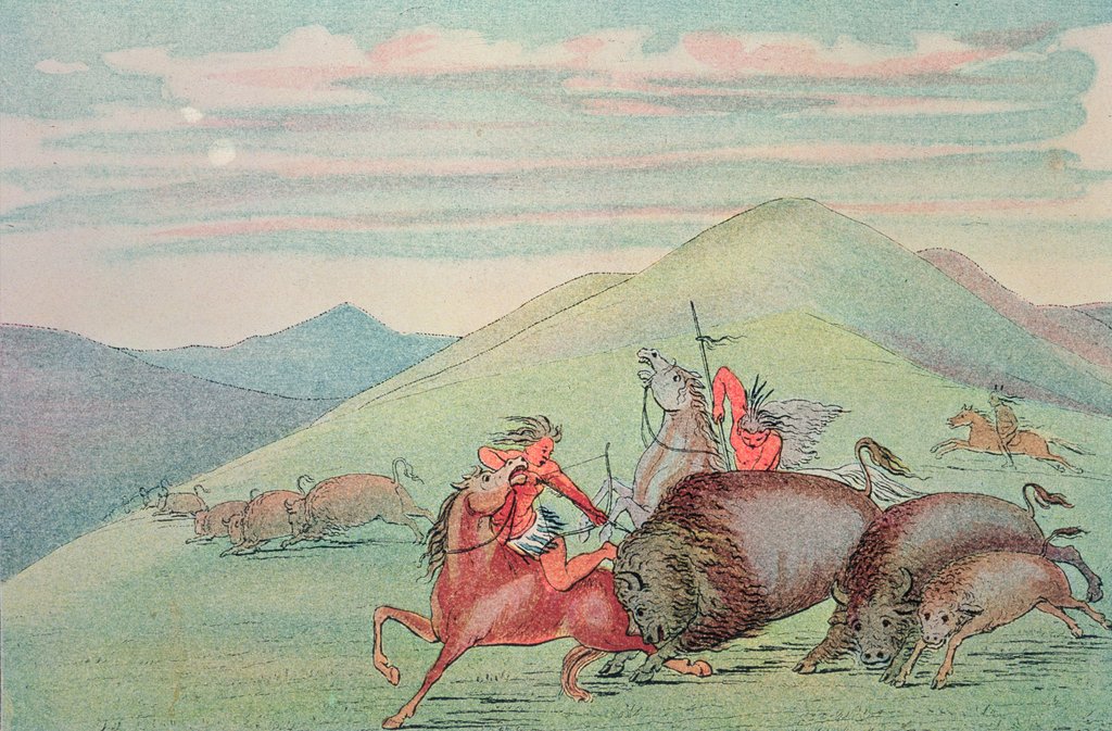 Detail of Buffalo bull protecting calf and mother under attack by George Catlin