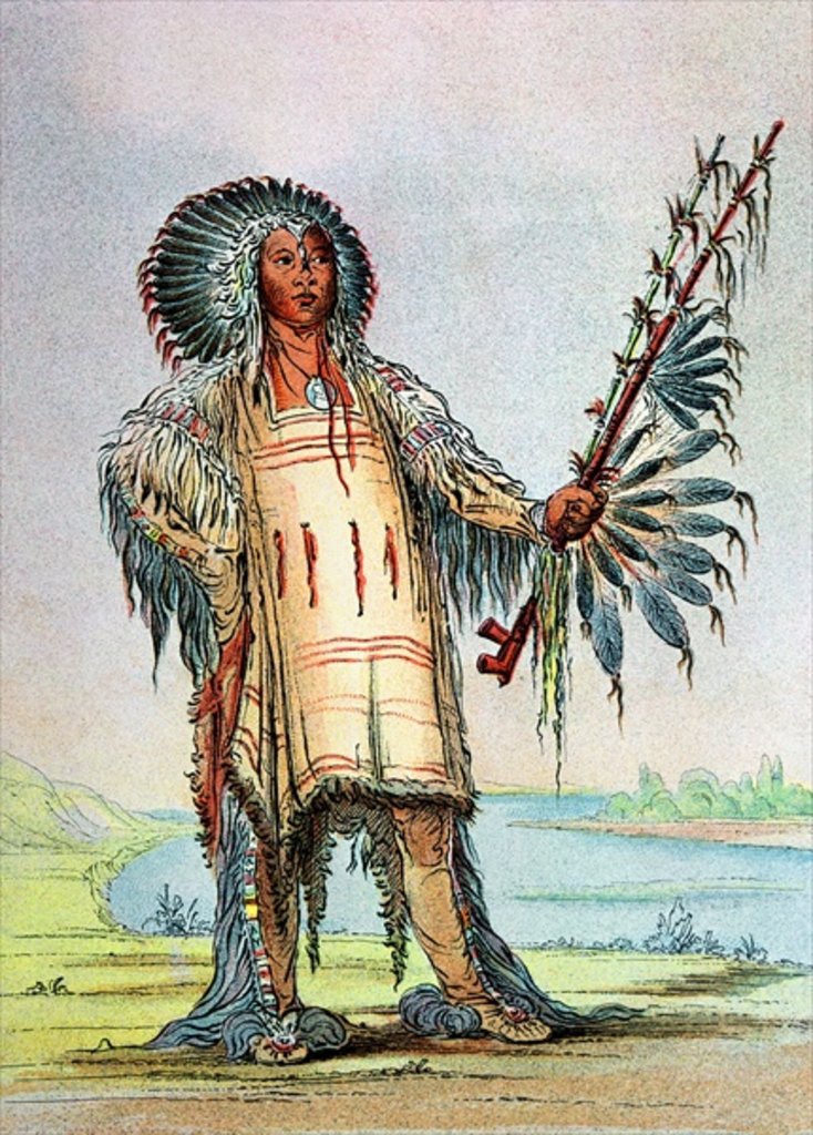 Detail of Mandan Indian Ha-Na-Tah-Muah, Wolf chief by George Catlin