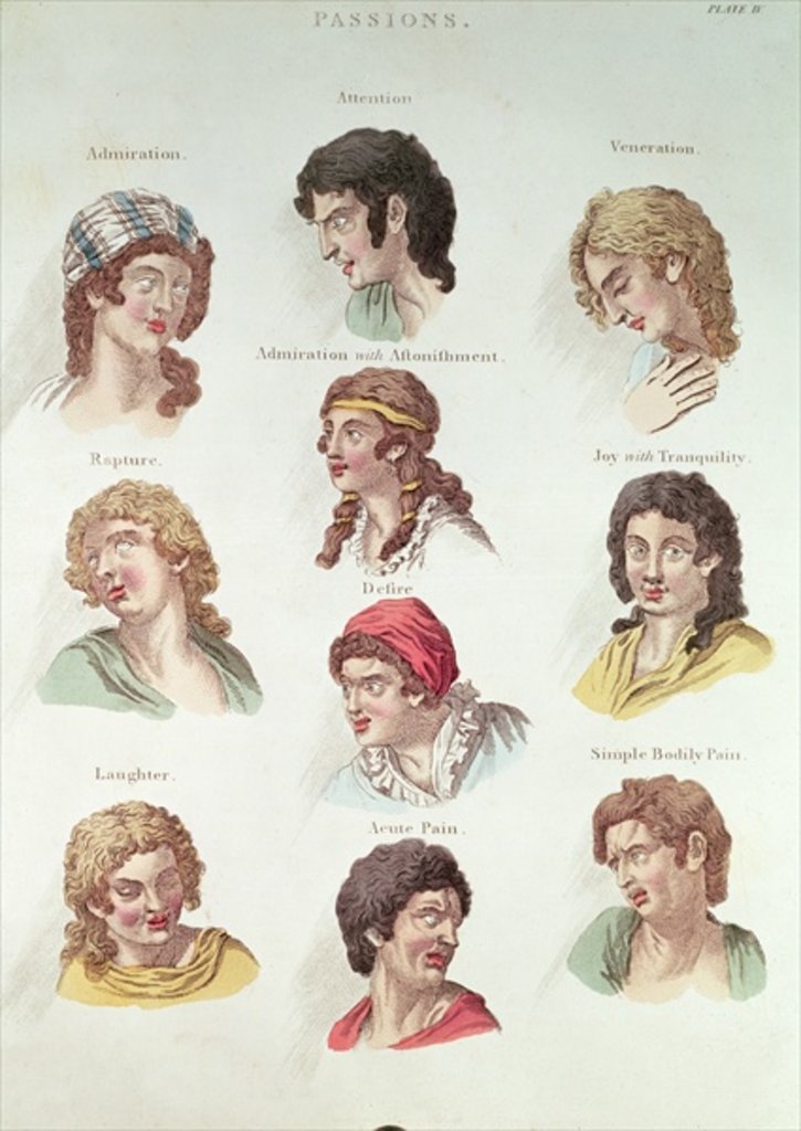 Detail of assion by Anonymous