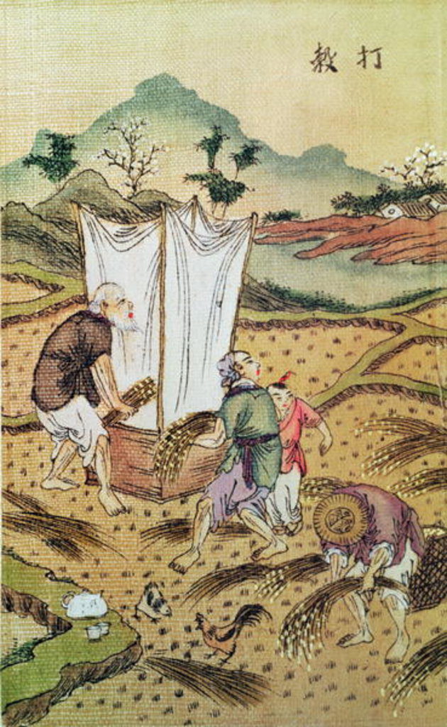 Detail of The Story of Rice by School Chinese