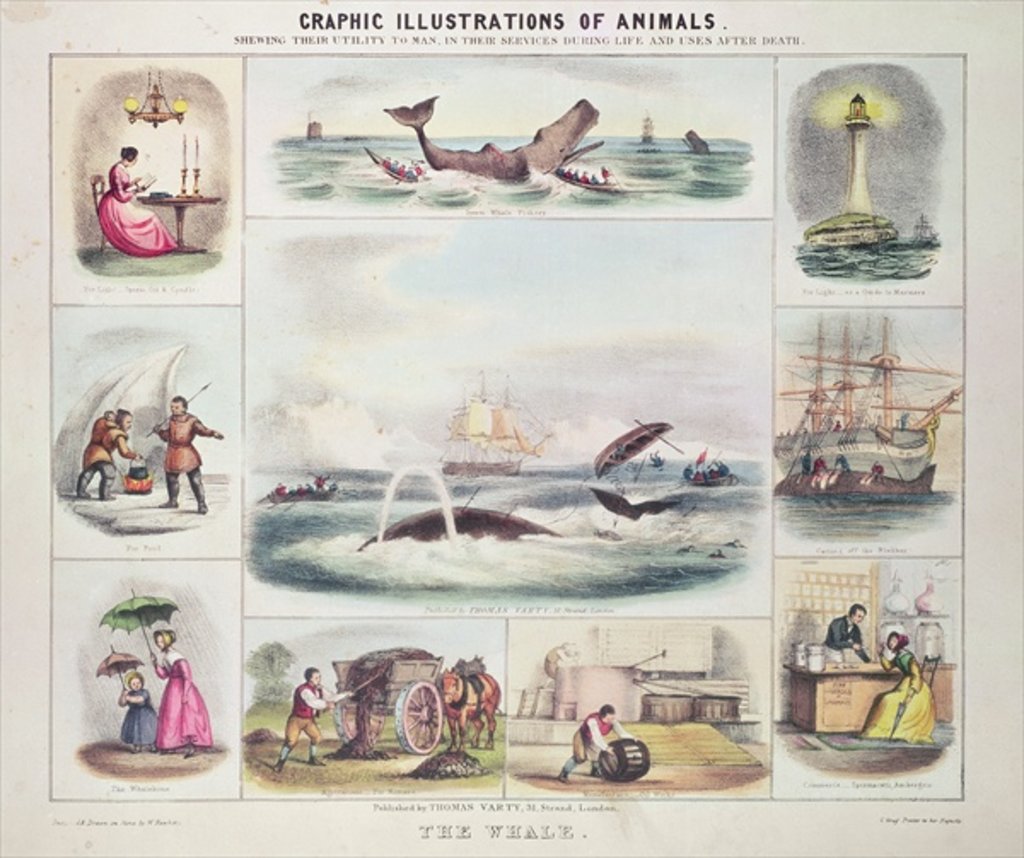 Detail of The Whale by Unknown Artist