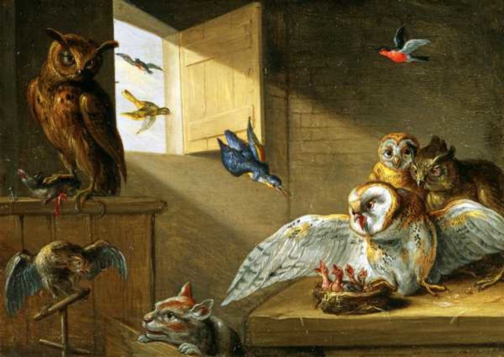 Detail of A Family of Owls, other Birds and a Cat by Jan van the Elder Kessel