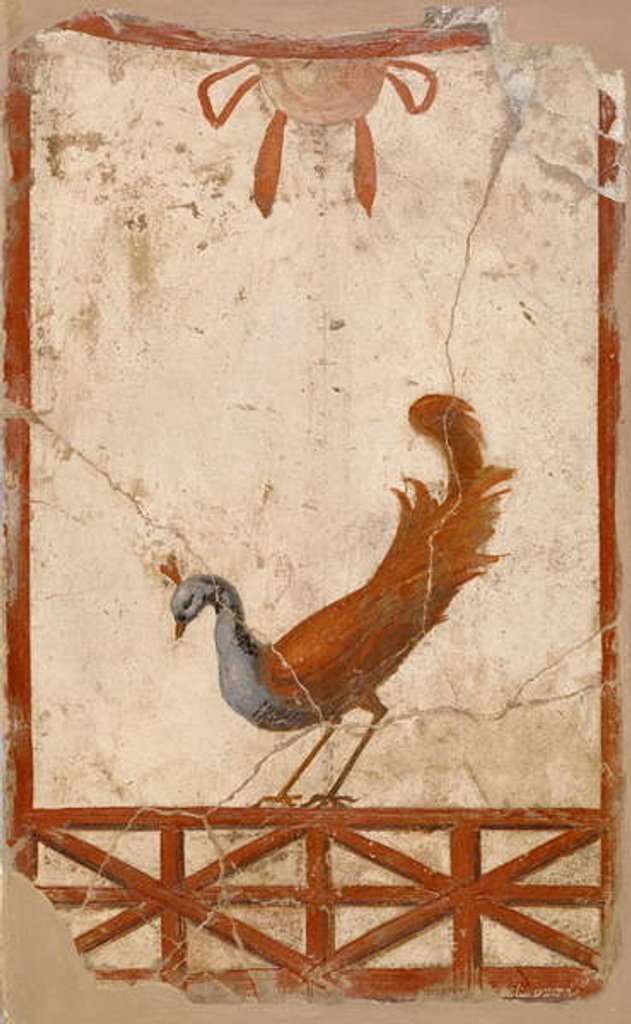 Detail of Wall Fragment with Peacock, 1st century by Roman