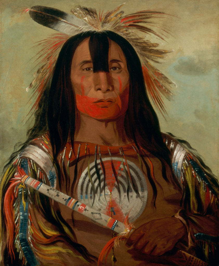 Detail of Stu-mick-o-súcks, Buffalo Bull's Back Fat, Head Chief, Blood Tribe, 1832 by George Catlin