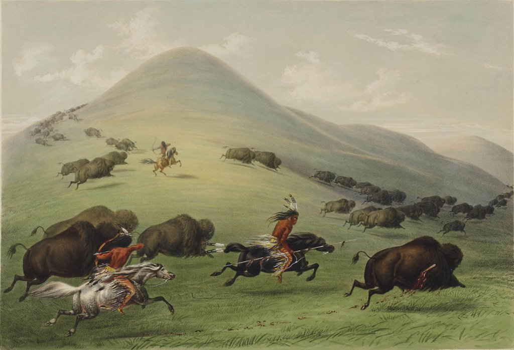 Detail of The Buffalo Hunt by George Catlin