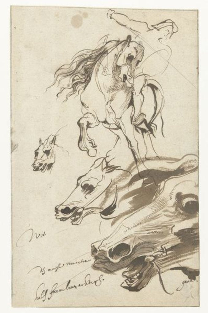 Detail of Study of Rider and head of a Horse, 1620-1 by Anthony van Dyck