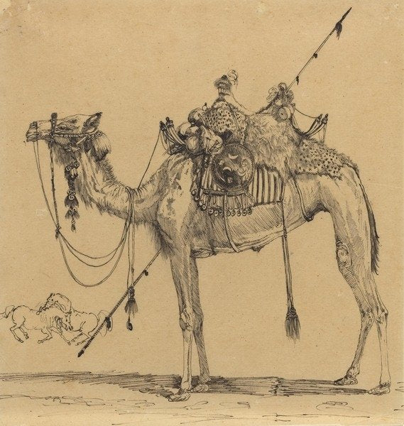 Detail of The Camel by Rodolphe Bresdin
